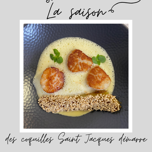 stjacque